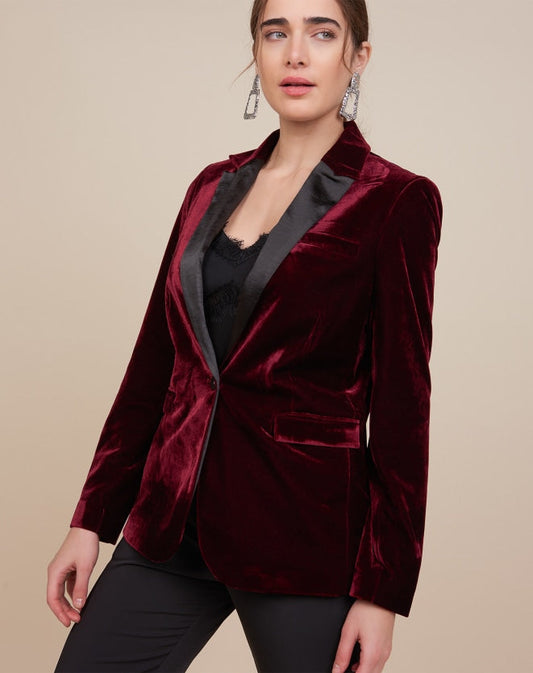 Regular Basic Blazer Valvet By Ace Maroon - Front View