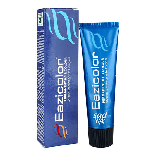 Eazicolor Permanent Hair Color, Chroma Technology With Omega-9, 60ml, Violet -  Front View