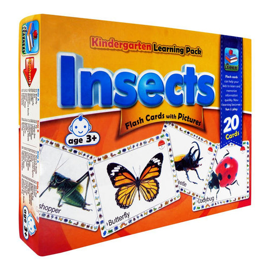 Jr. Learners Flash Card With Pictures Large Insects, For 3+ Years